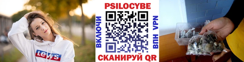 Псилоцибиновые грибы прущие грибы  продажа наркотиков  Высоцк 